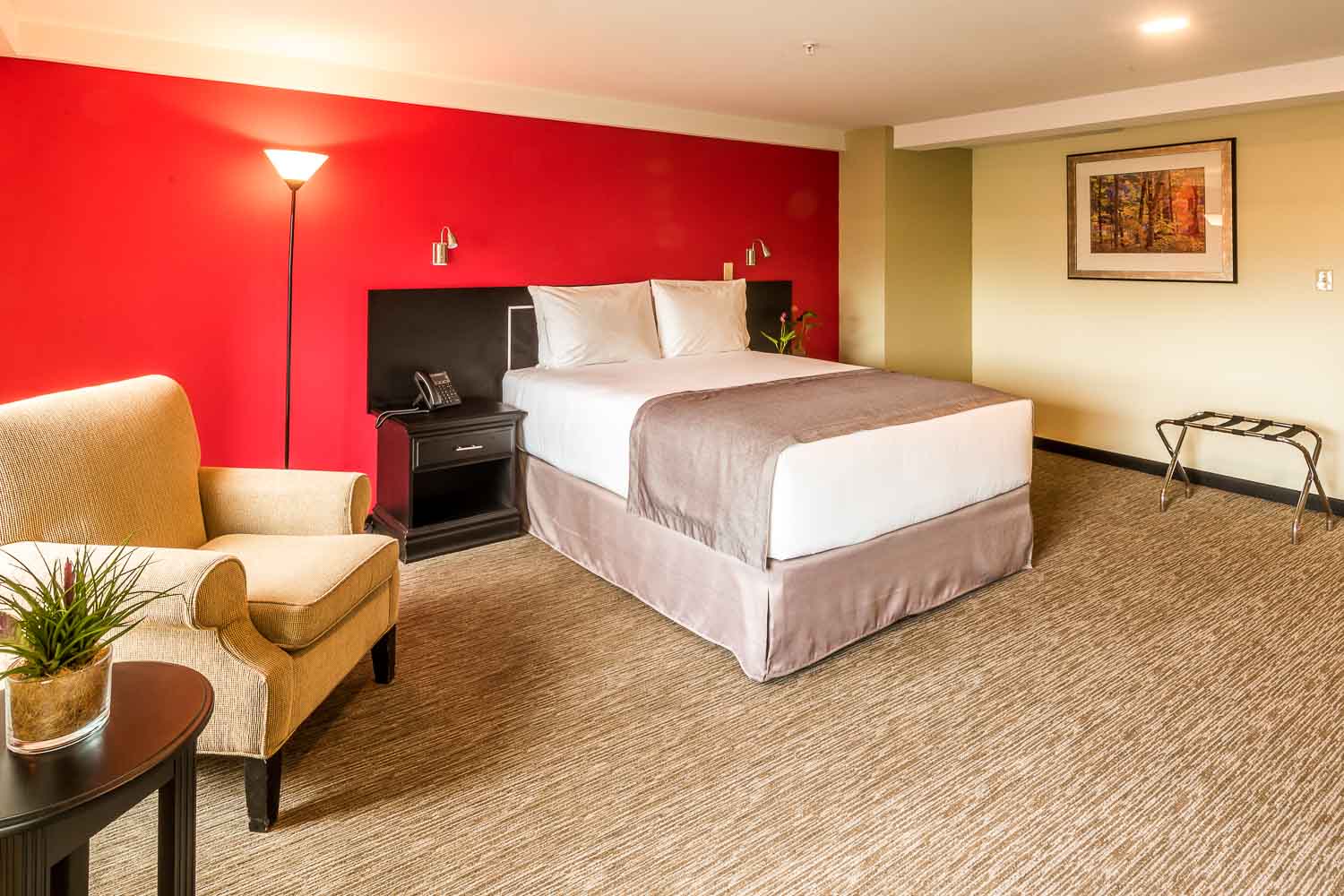 Habitación Doble Uso Individual Estándar