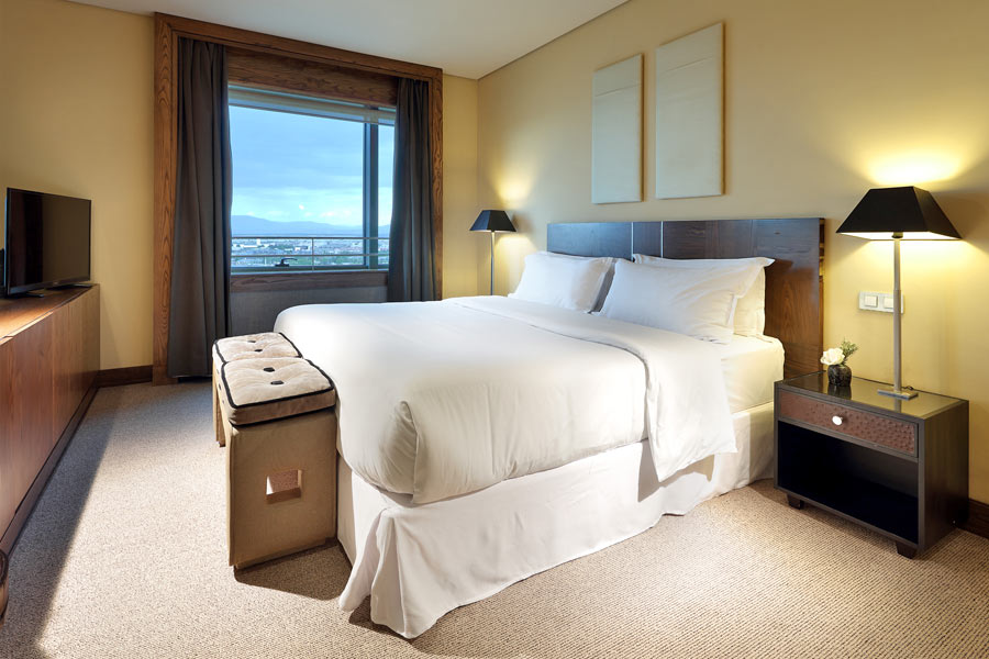 Deluxe suite + divano letto 2 persone con parcheggio