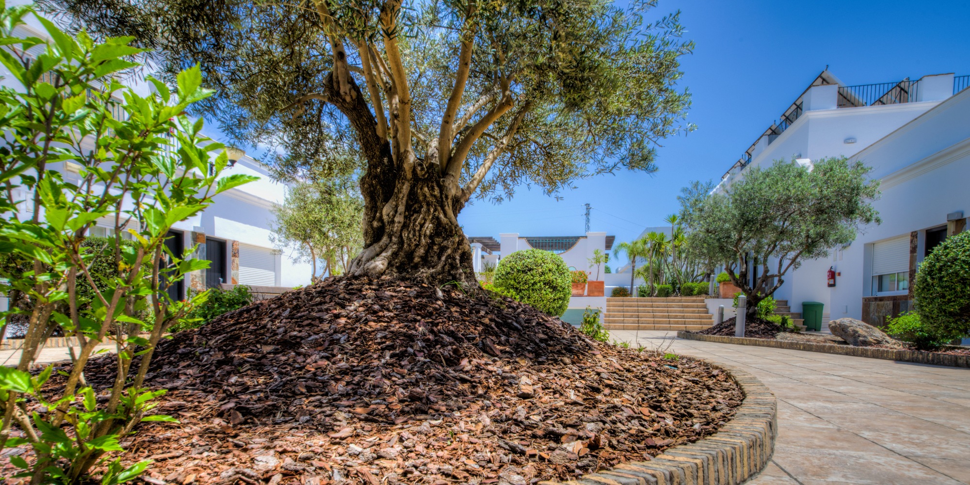 Apartamentos Piedramar