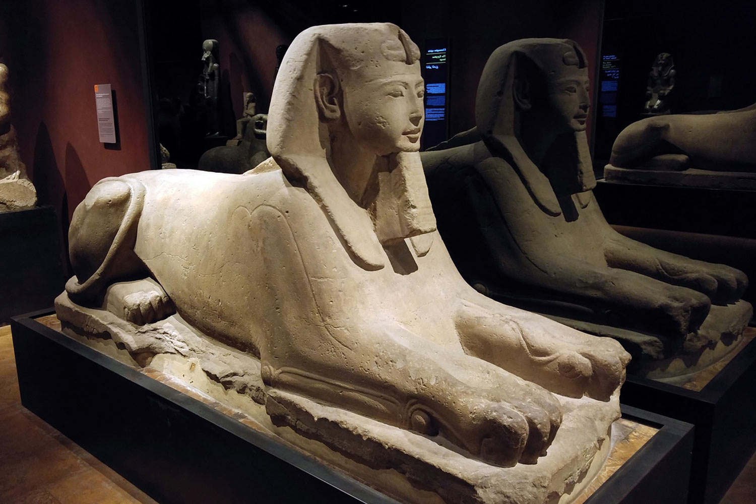 Musei
