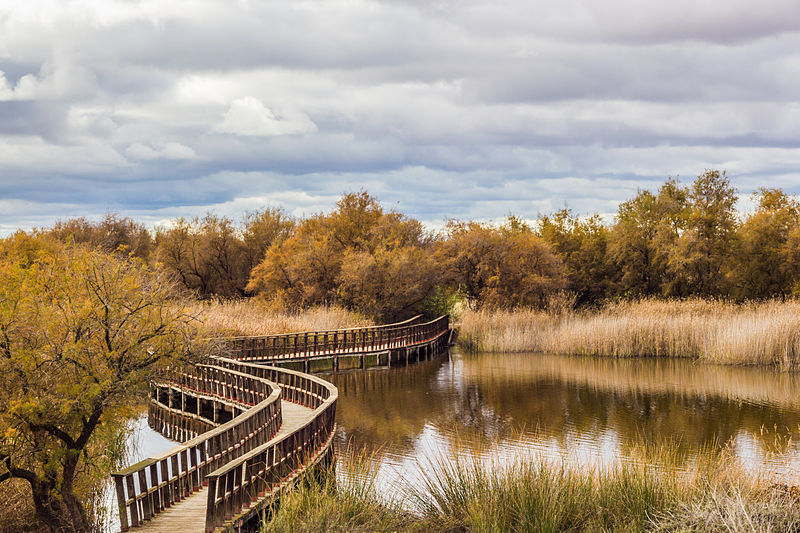 En la naturaleza…