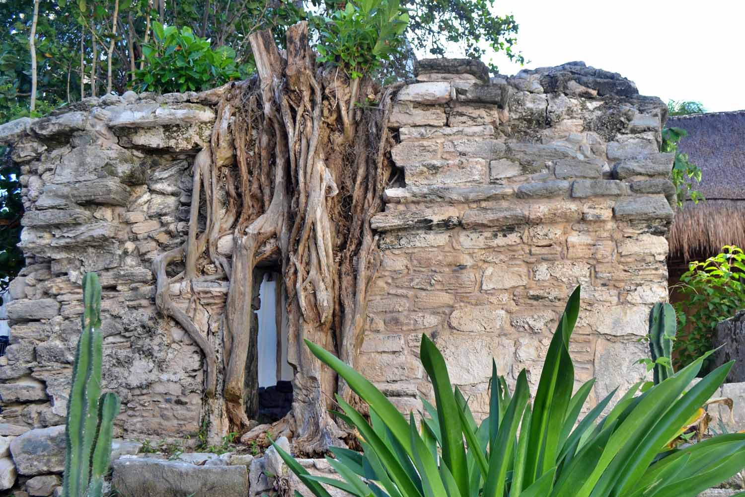 Kinta Kan Cabañas Hotel Playa del Carmen  galeria