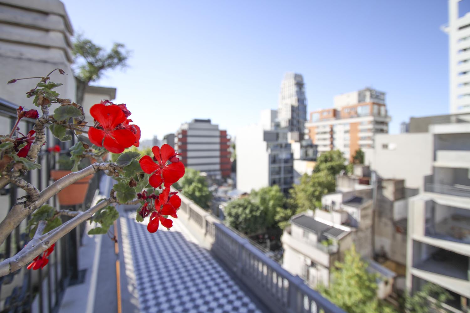 Hotel Clásico  galeria