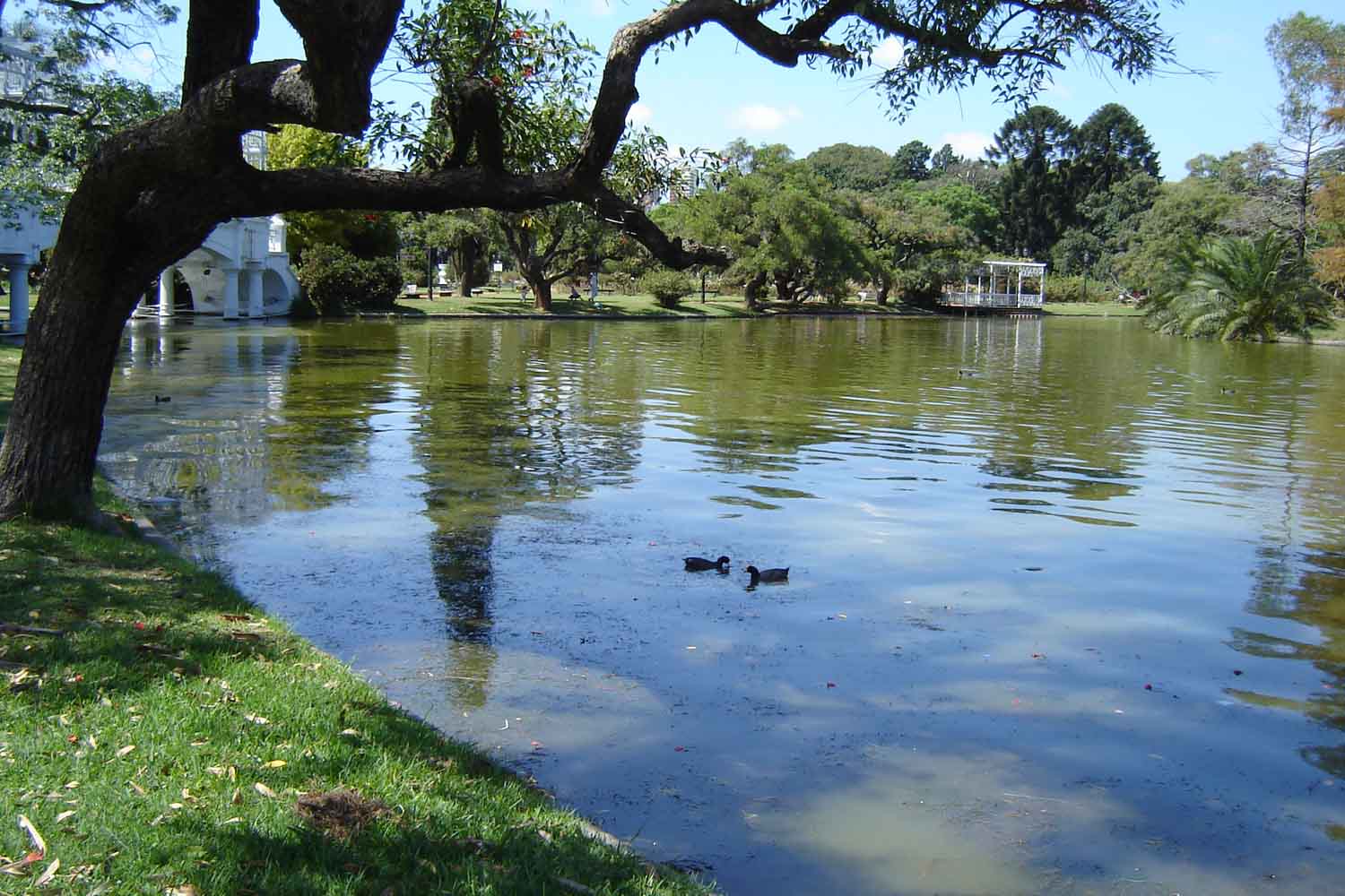 Parque Tres De Febrero