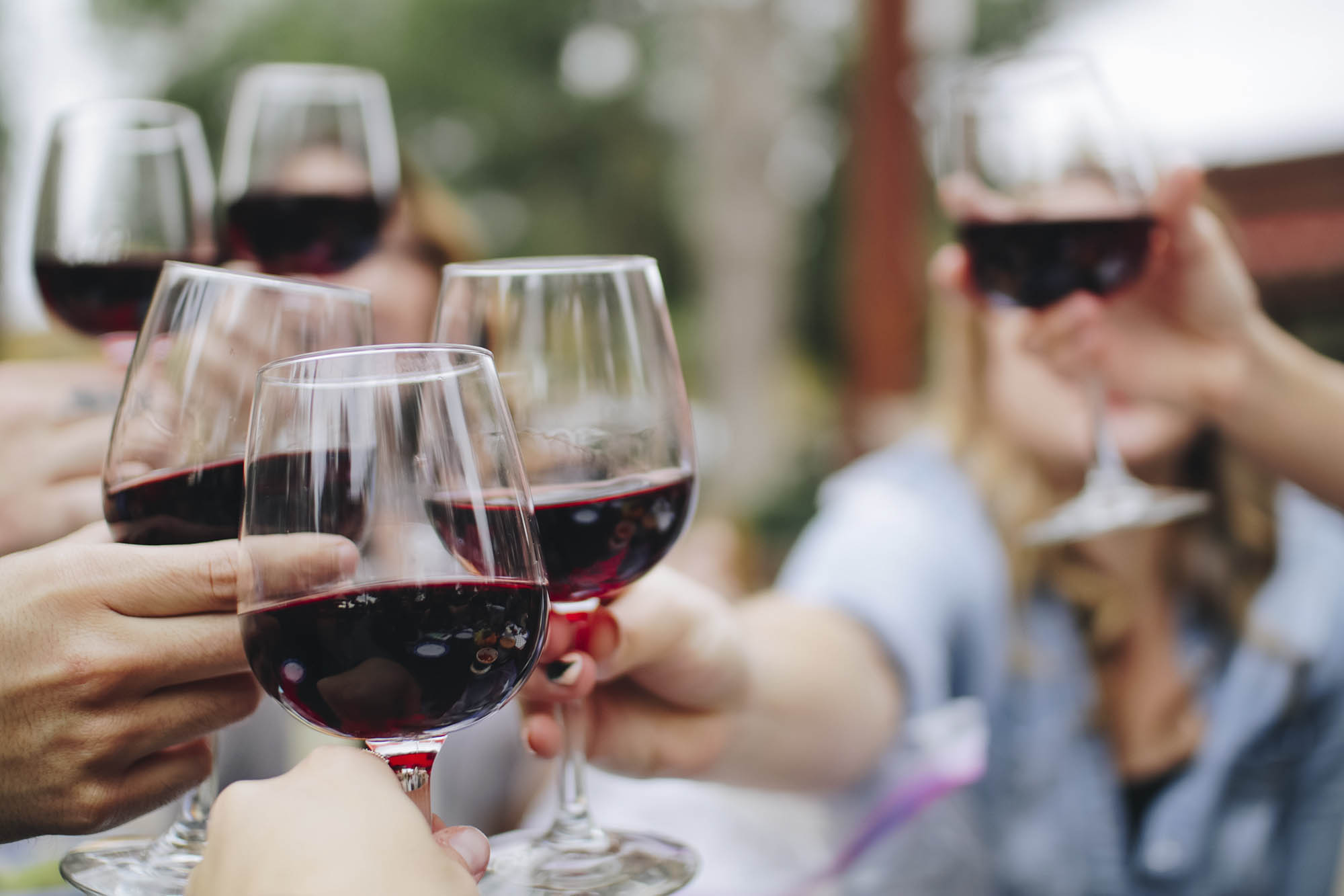Visita a una cantina – Esperienza “Cheese&Wine”