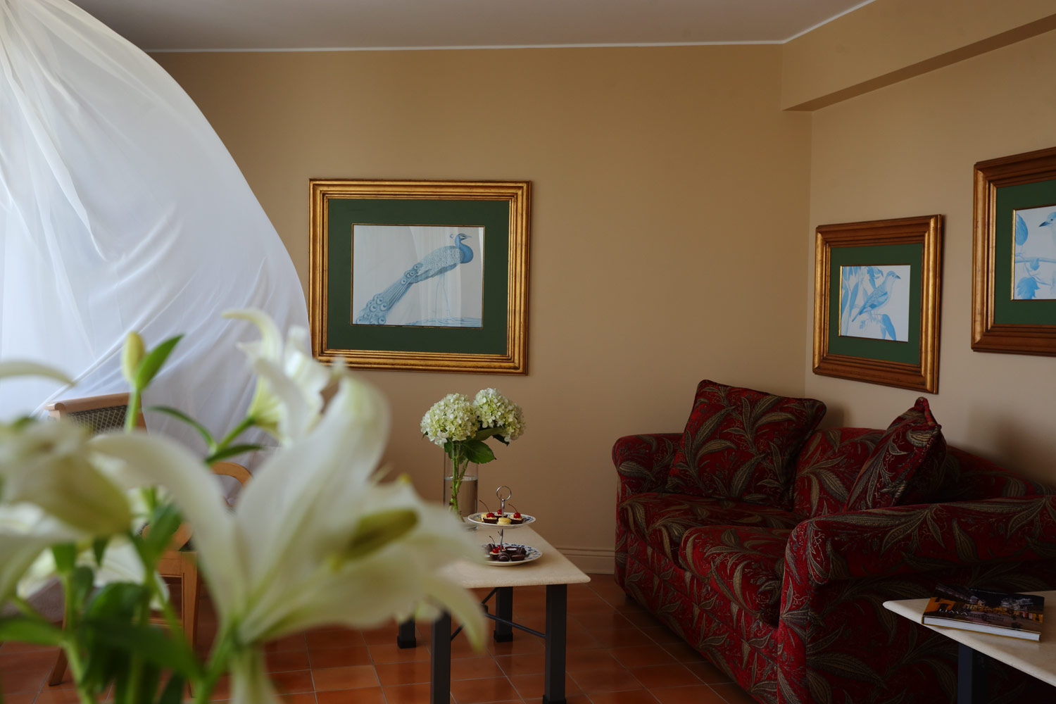 Hotel Suites del Bosque  galeria