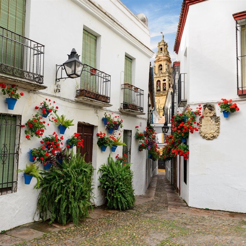 Córdoba a pie