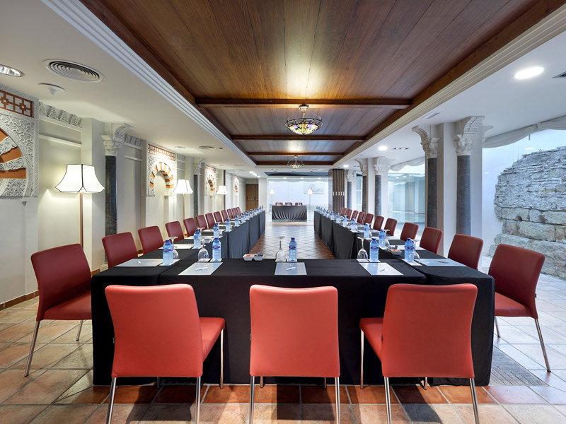 Eurostars Conquistador - Lounges