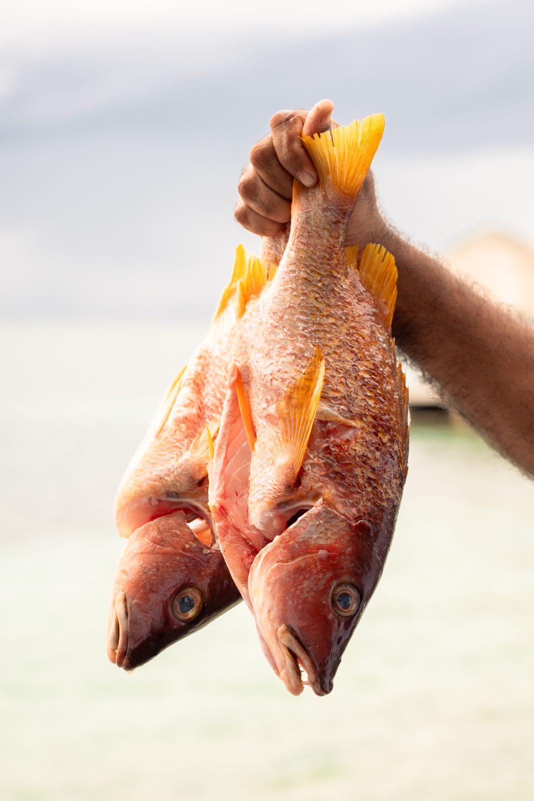 Casa del Arzobispado