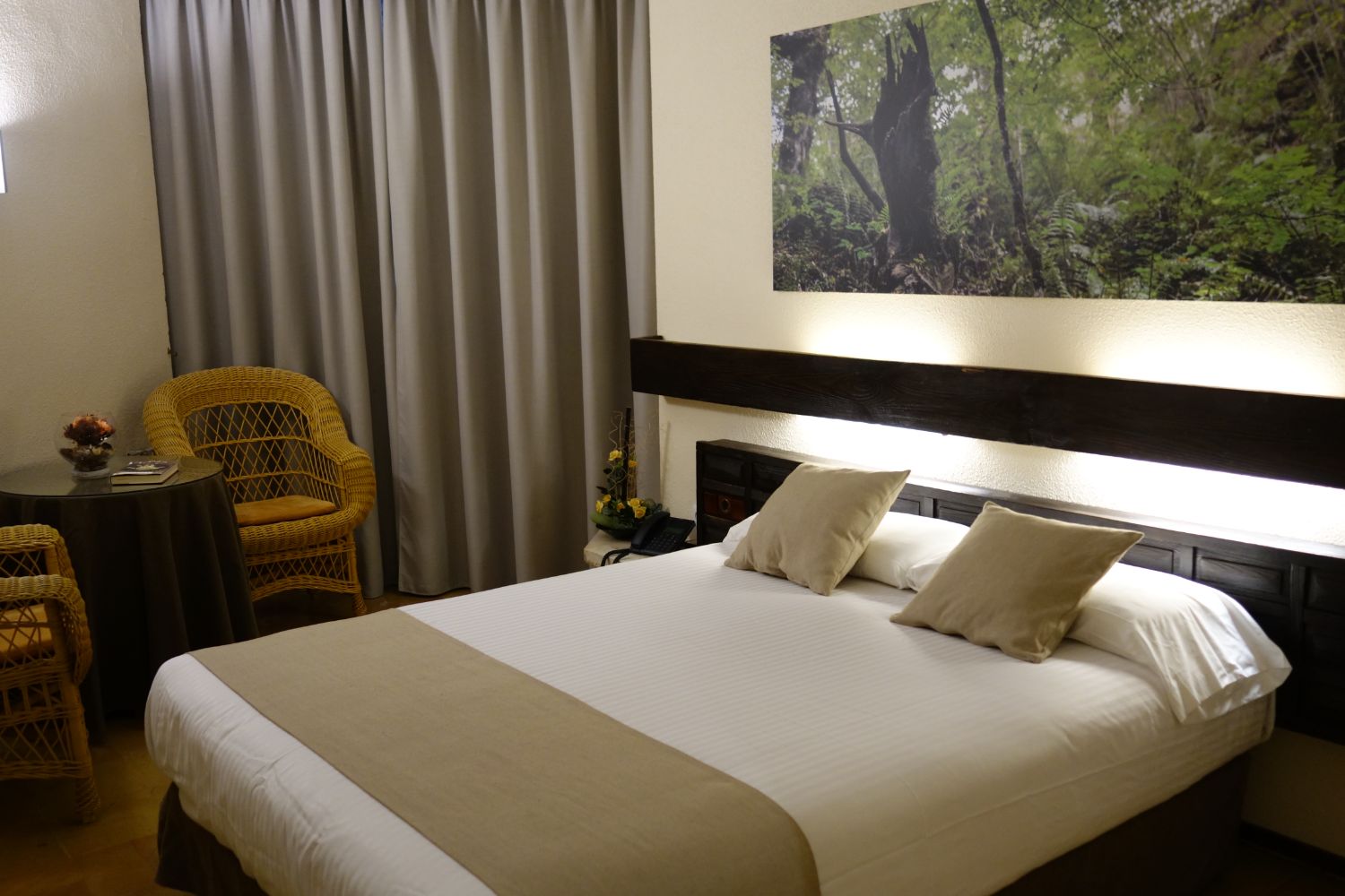 Hotel Baztan