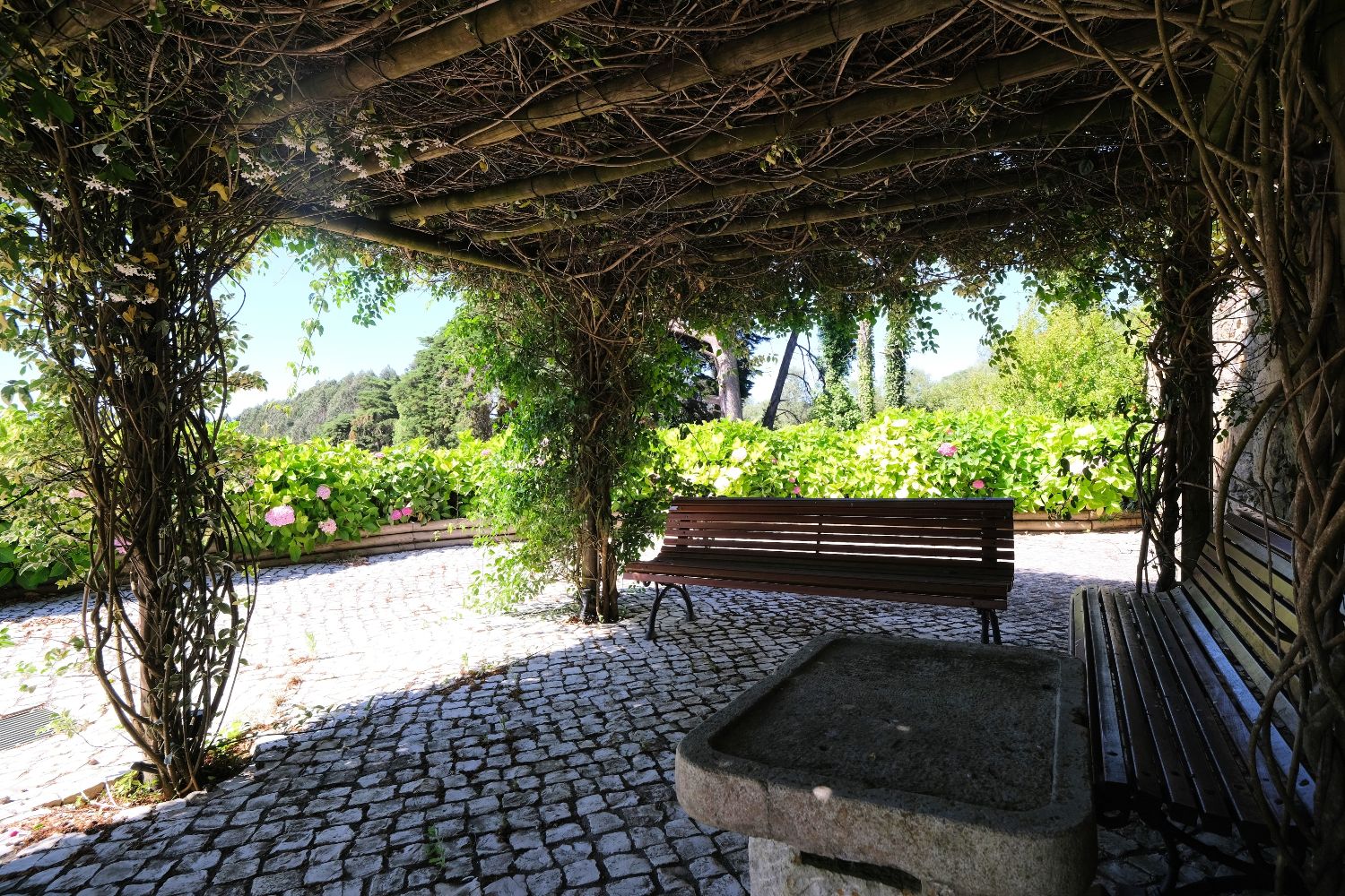 Quinta da Maquia Hotel