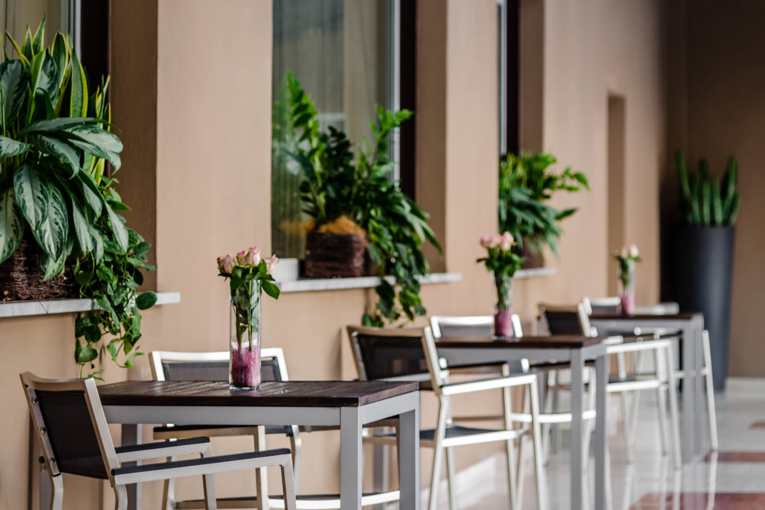 Eurostars Hotel Company