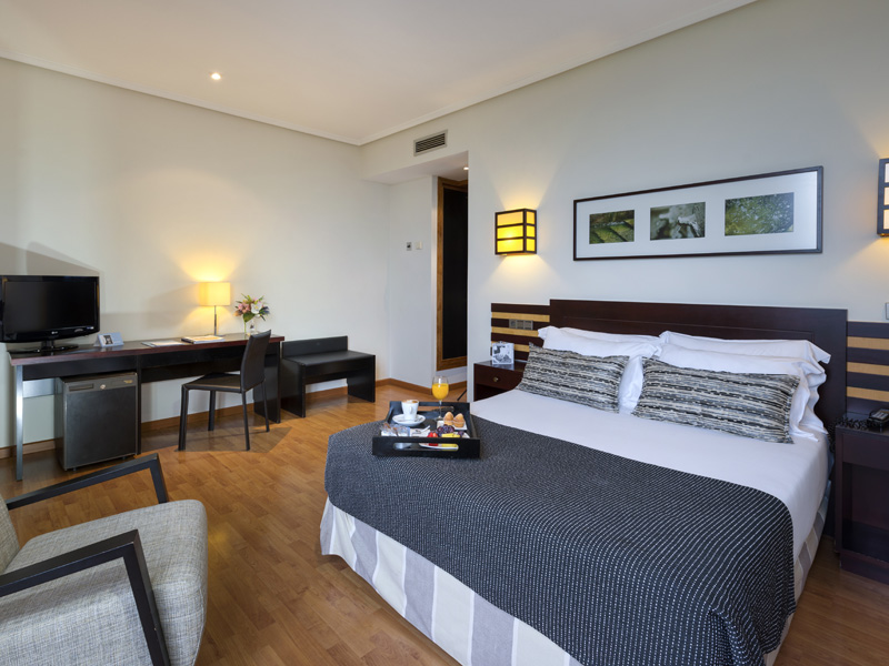 Double room for single use