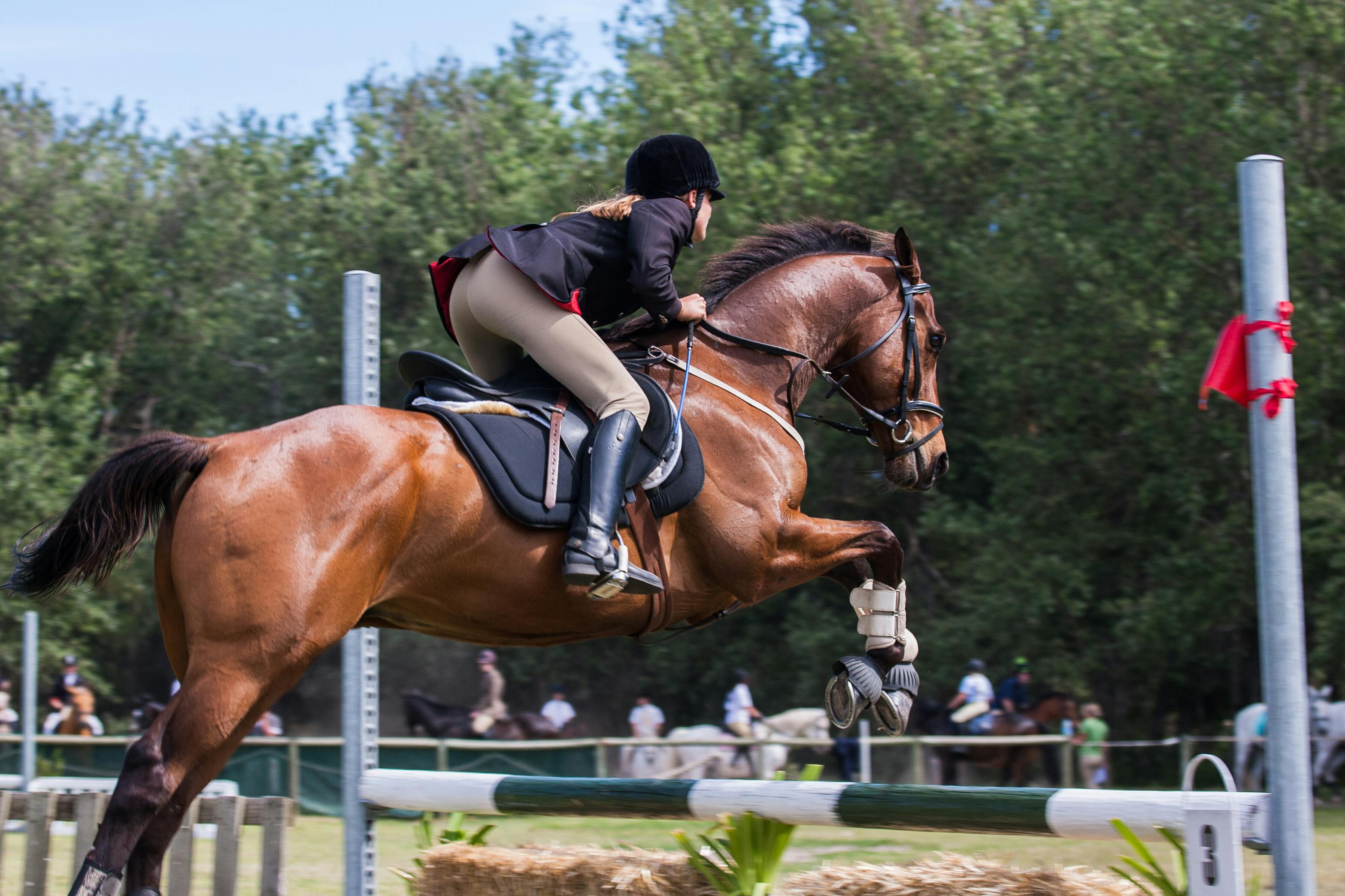 Los Albardones Equestrian Centre