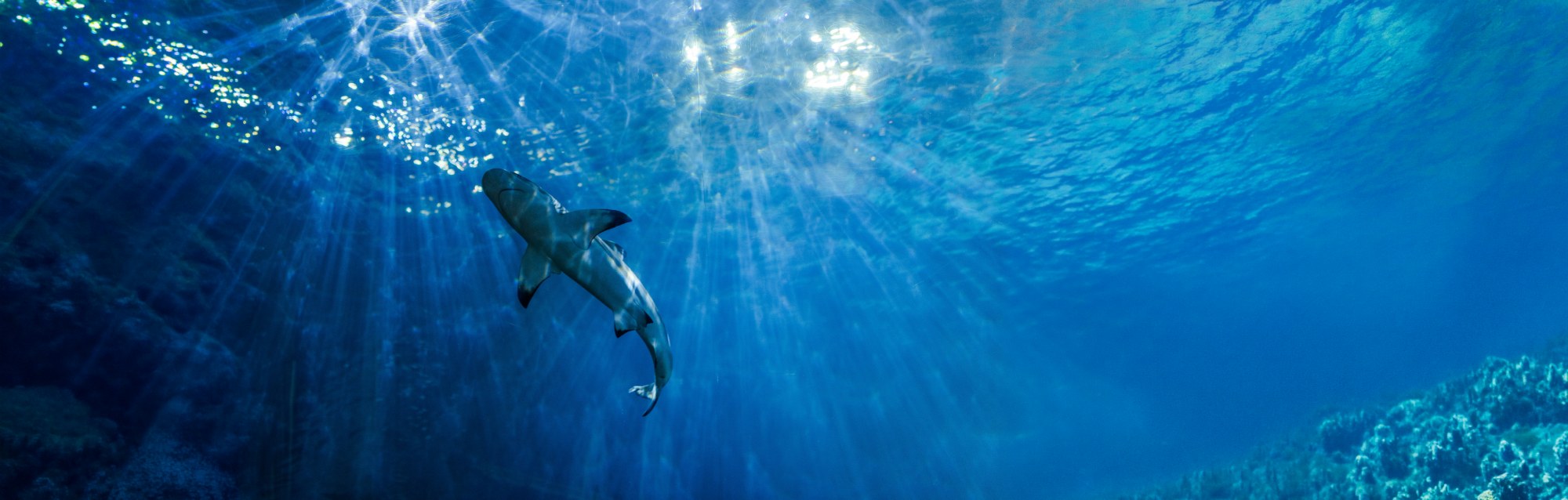 HOLBOX TOURS