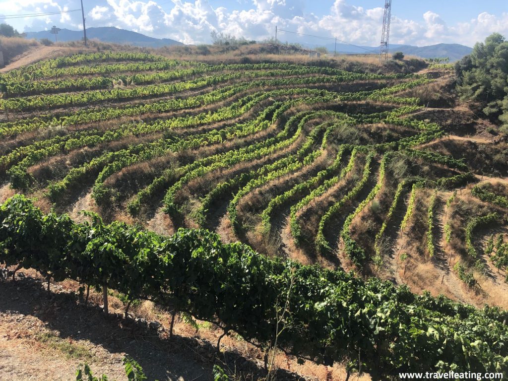 Priorat, tierra de vinos