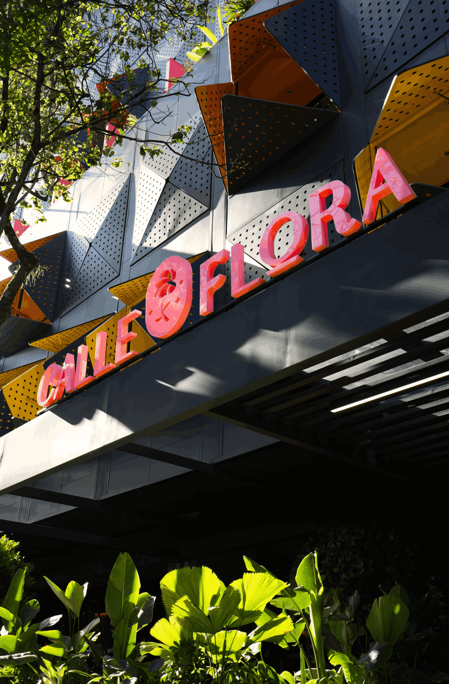 Calle Flora Hotel