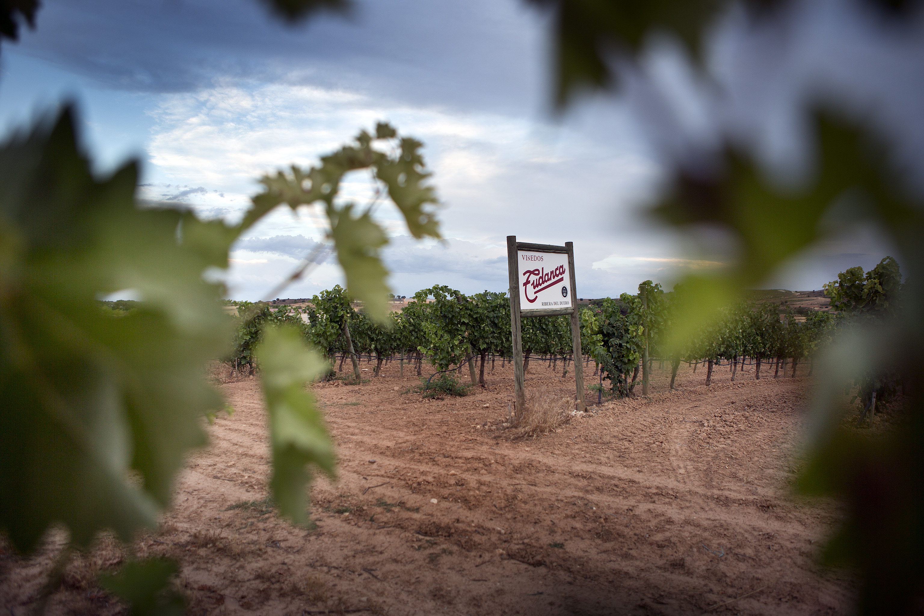 Hotel Tudanca-Aranda II