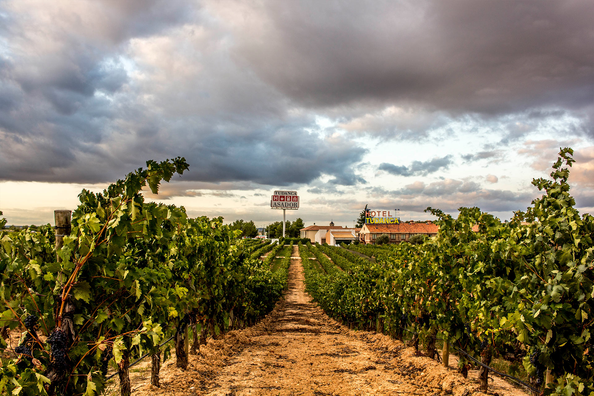 Hotel Tudanca-Aranda II
