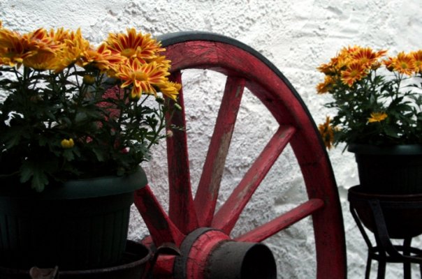 Hotel El Hidalgo (BAJA)  galeria