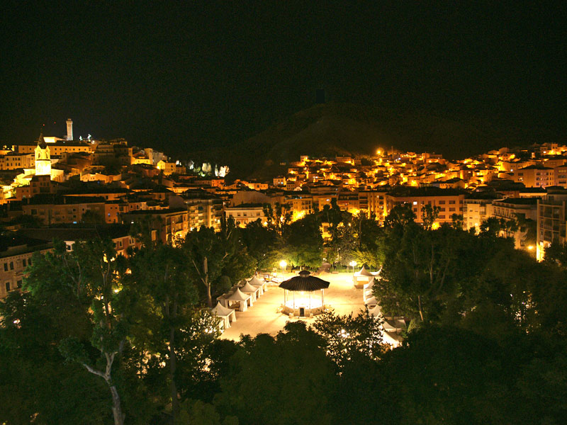 Hotel Alfonso VIII  galeria