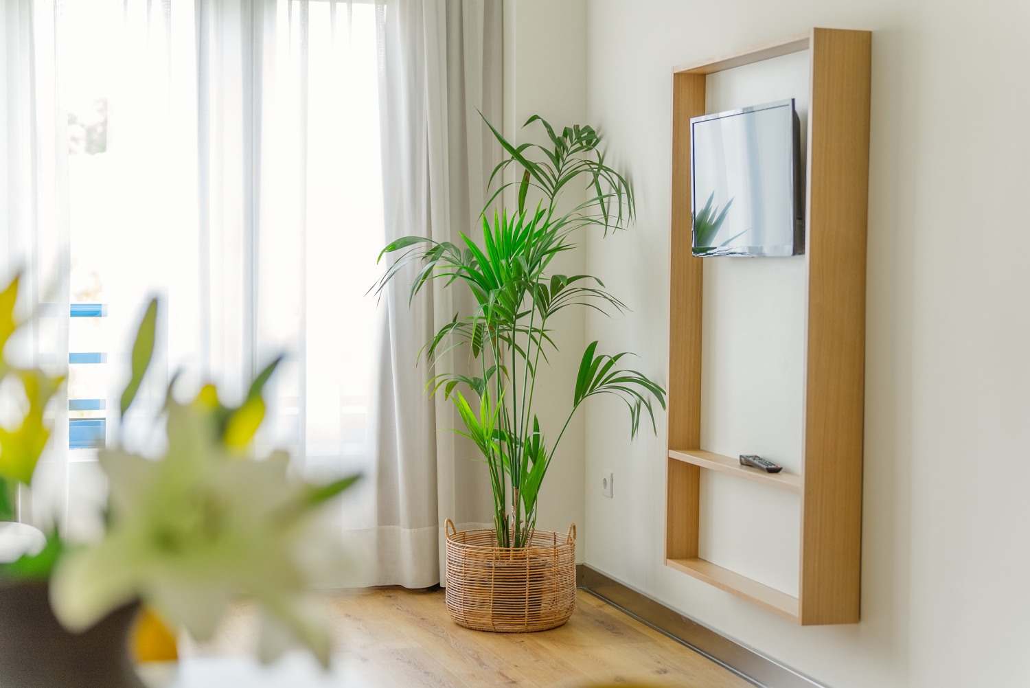 Apartment mit 1 schlafzimmer 