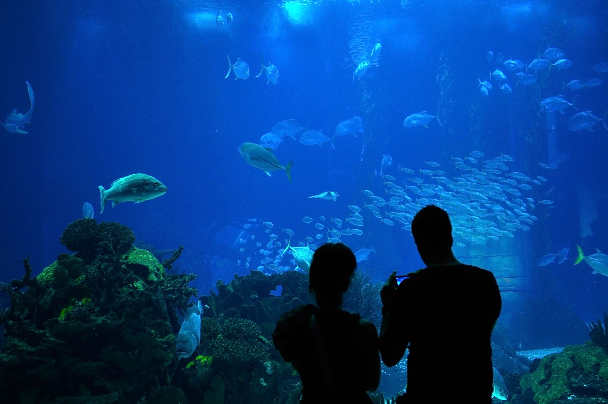 Oceanario
