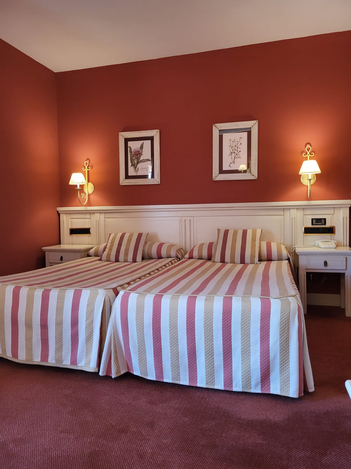 Single Room 