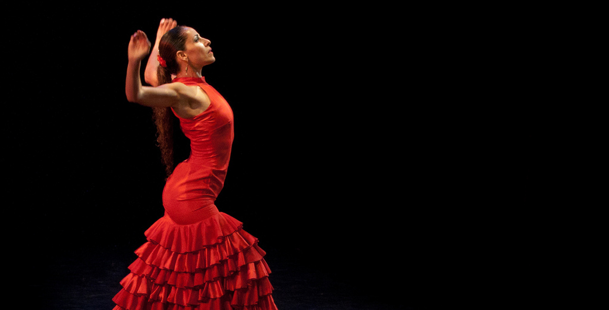 Flamenco-show