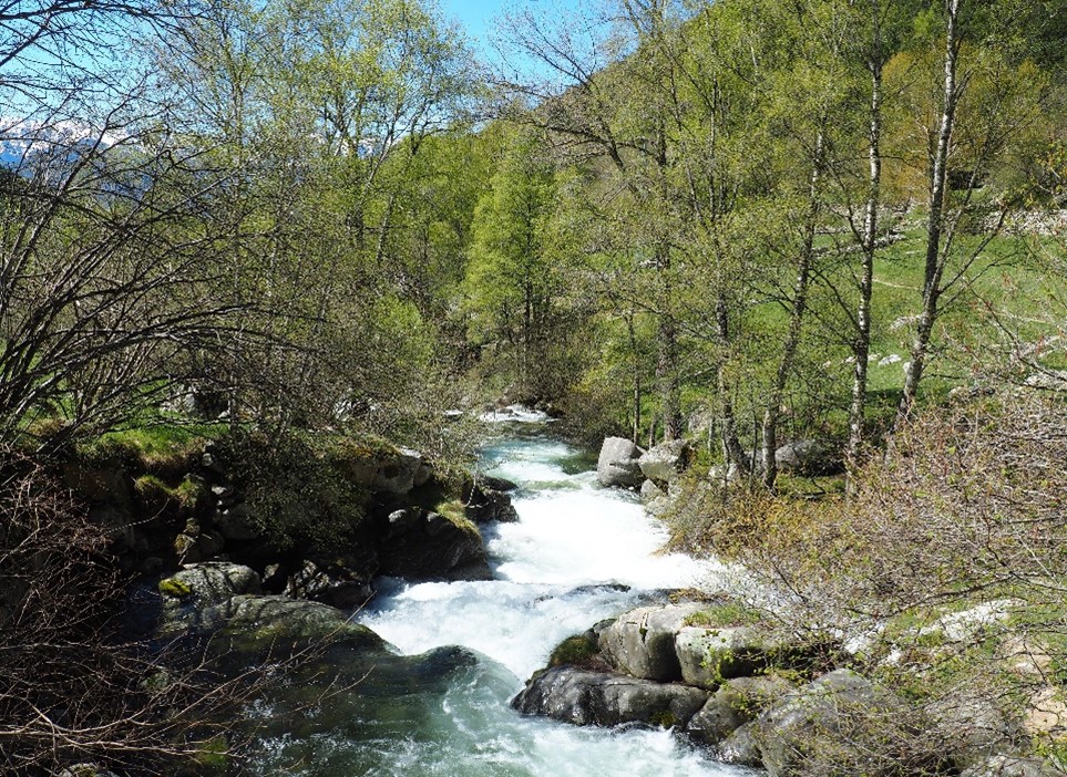 Descubre la primavera en la Cerdanya con el Grupo Esquirol