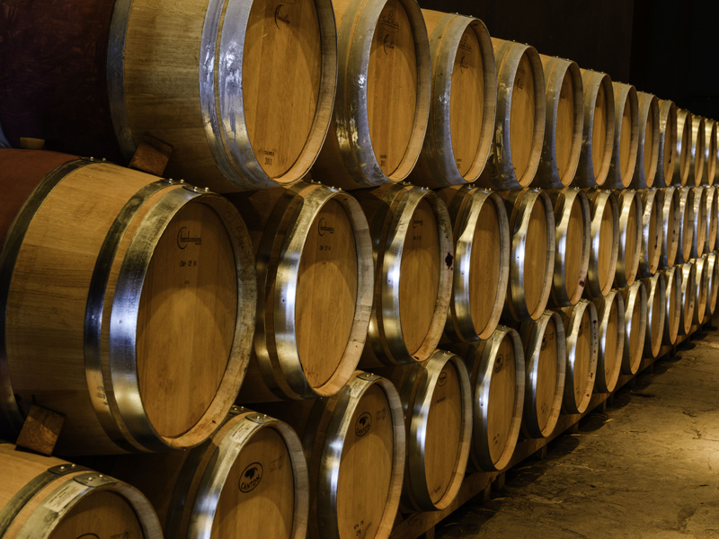 Visita bodega + cata de 3 vinos