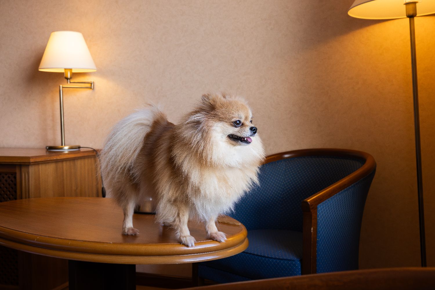 Hotel Doña Brígida - Salamanca Forum  galeria