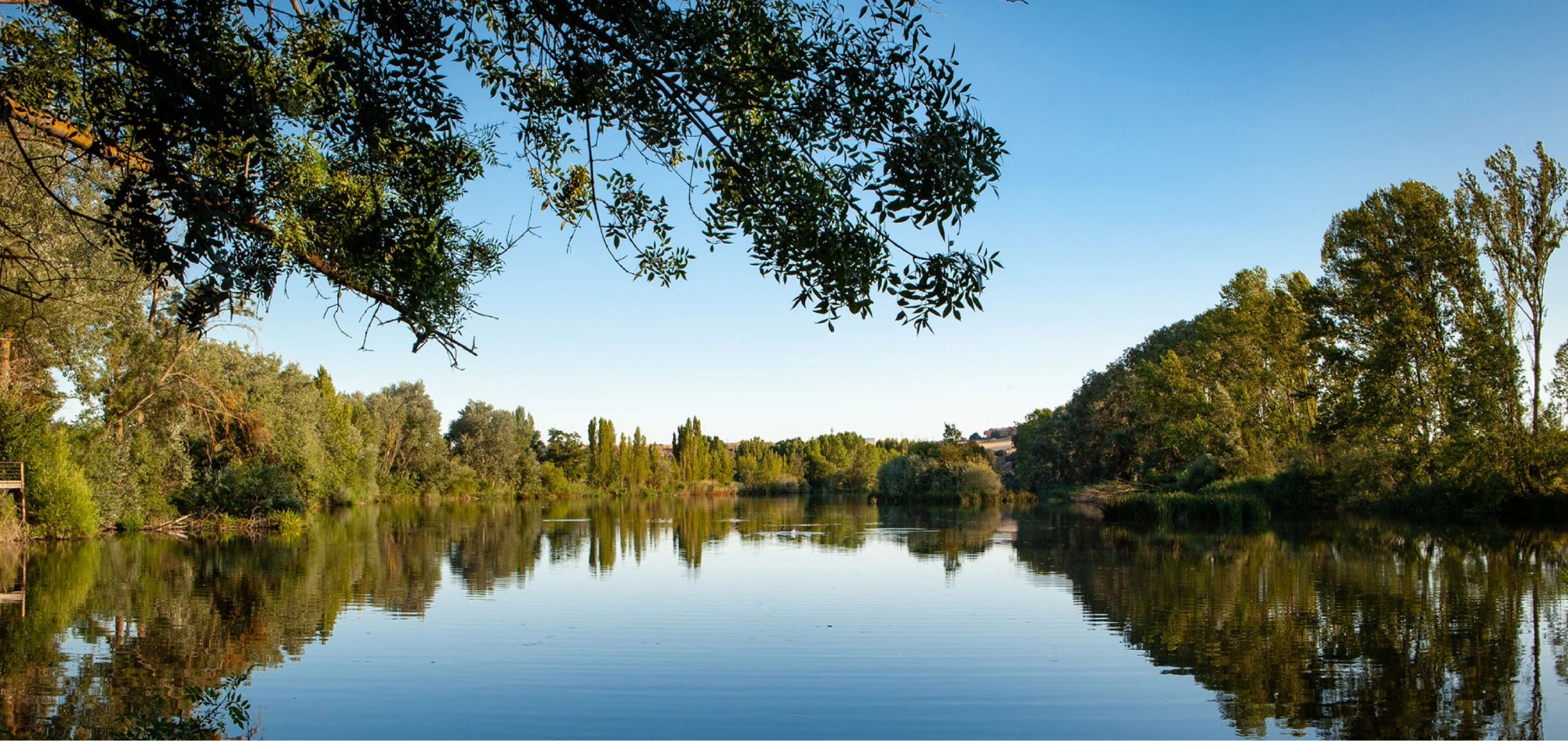 Hotel Doña Brígida - Salamanca Forum