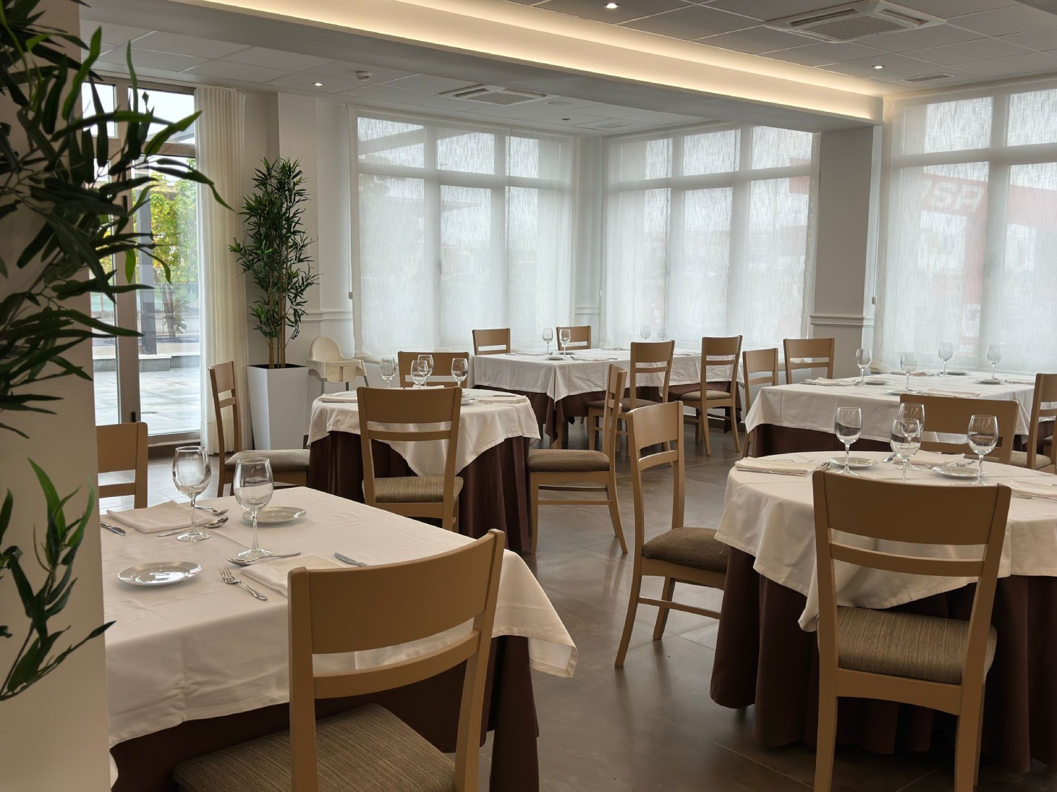 Rey Don Sancho Zamora