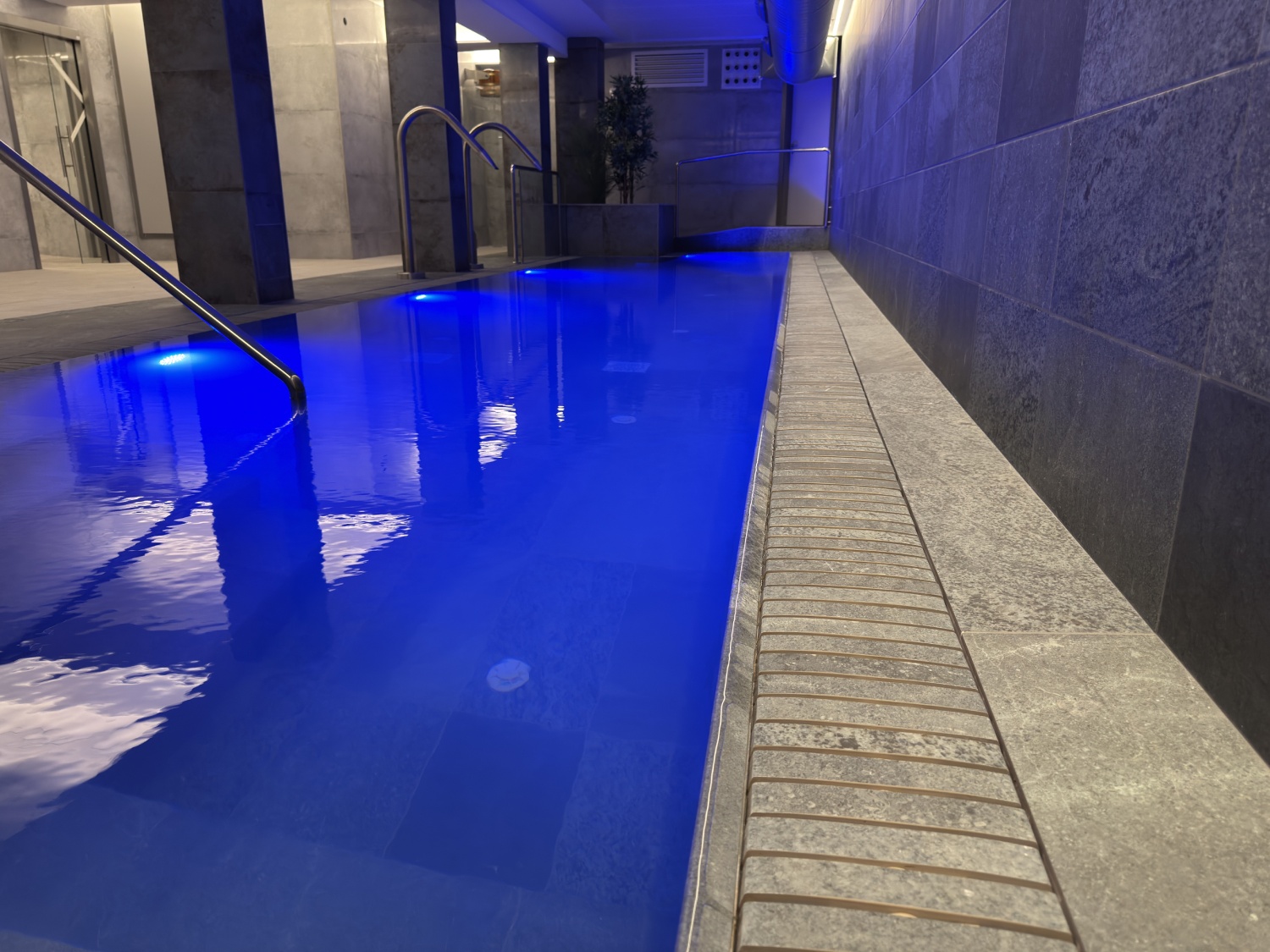 Rey Don Sancho Zamora