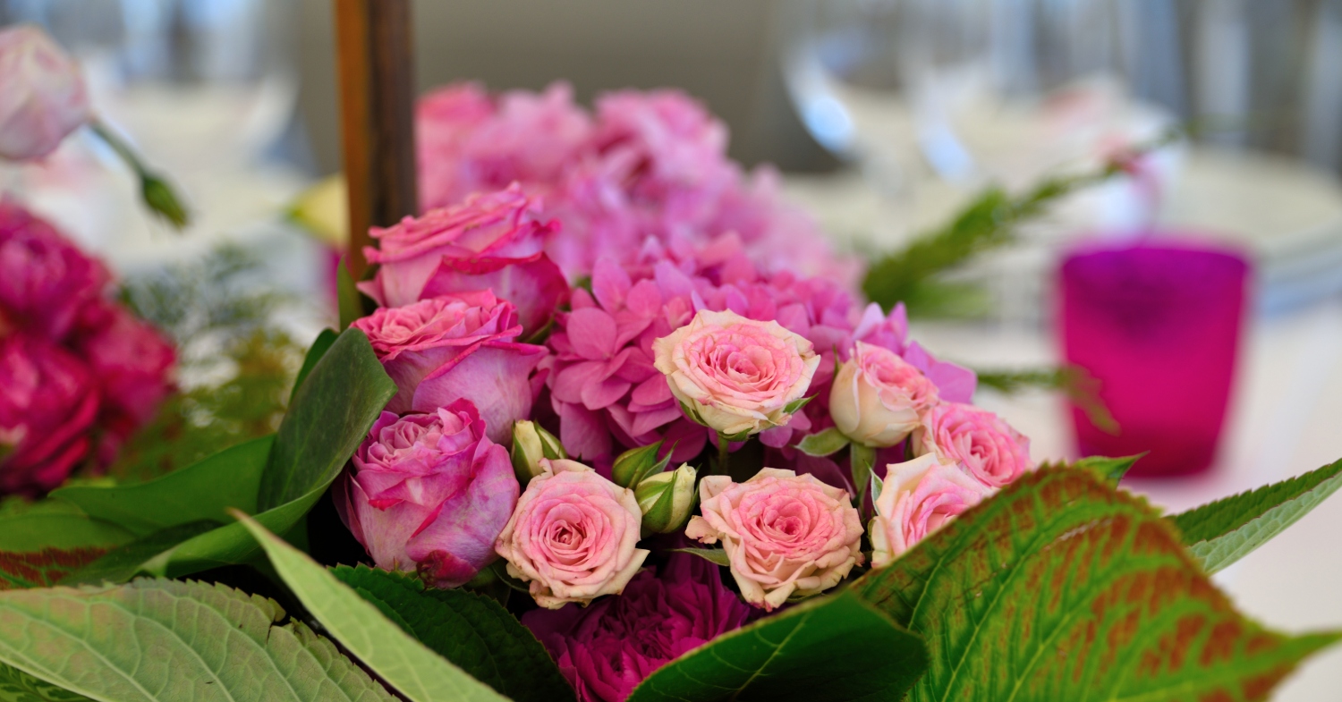 Rey Don Sancho Zamora