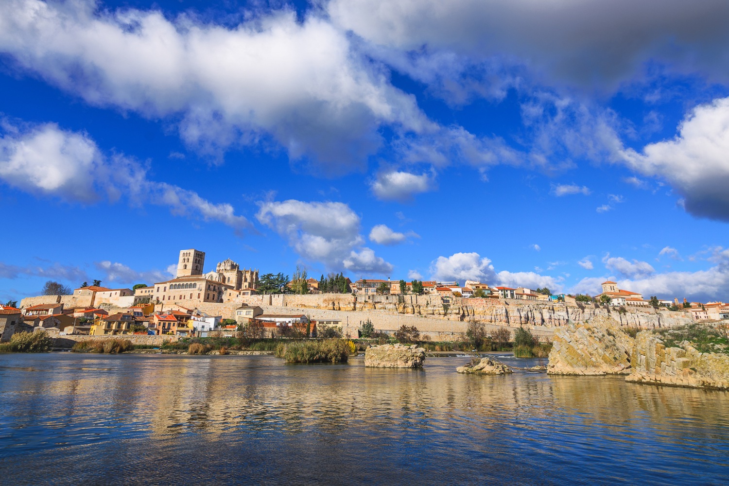 Rey Don Sancho Zamora