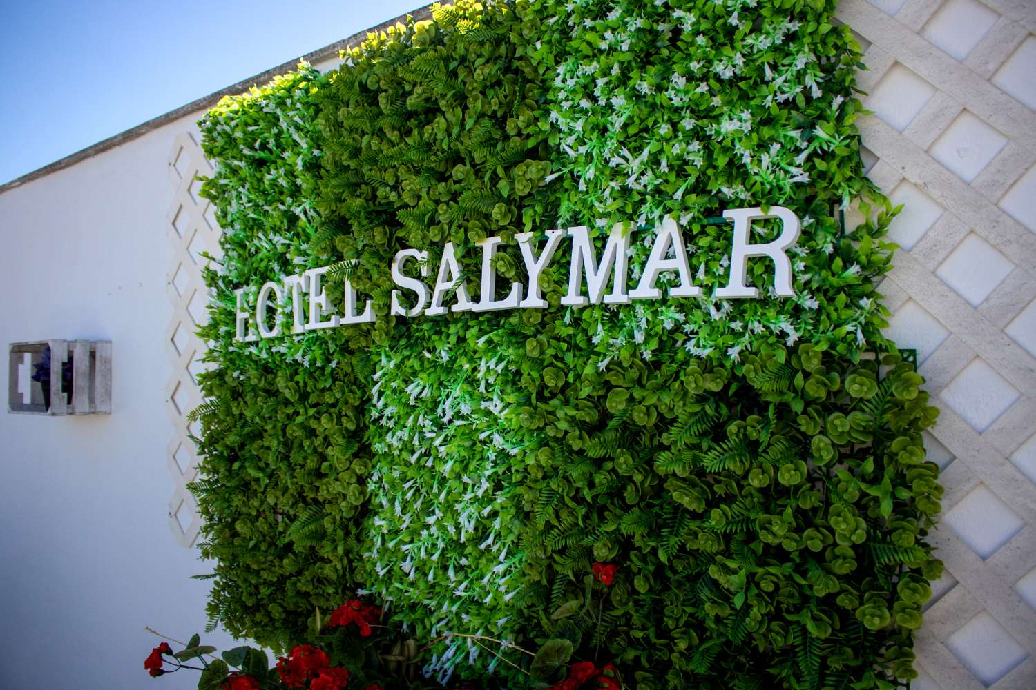 Hotel Salymar