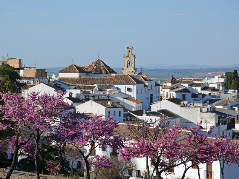 Hotel La Sierra  galeria