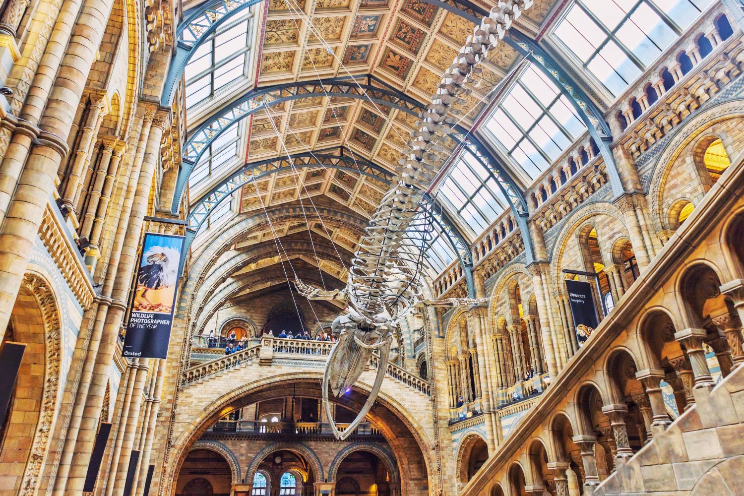Natural History Museum