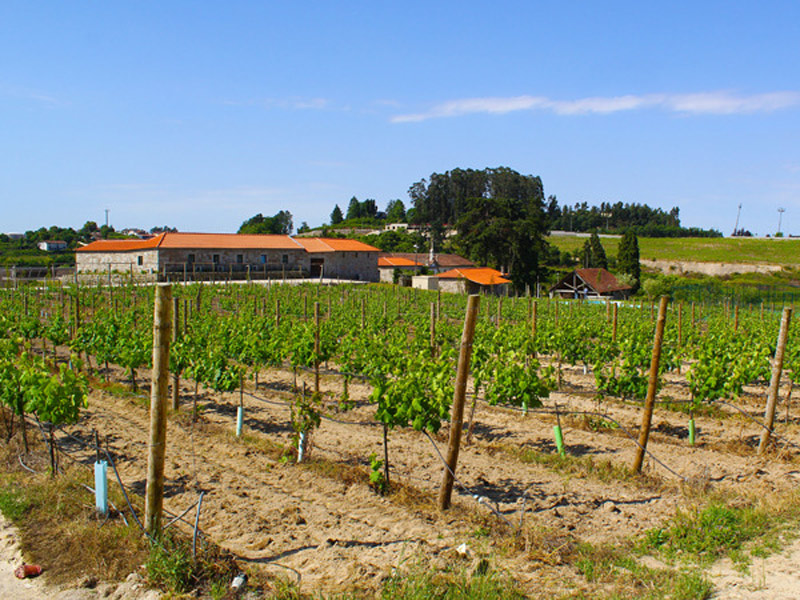 Lousada Country Hotel  galeria