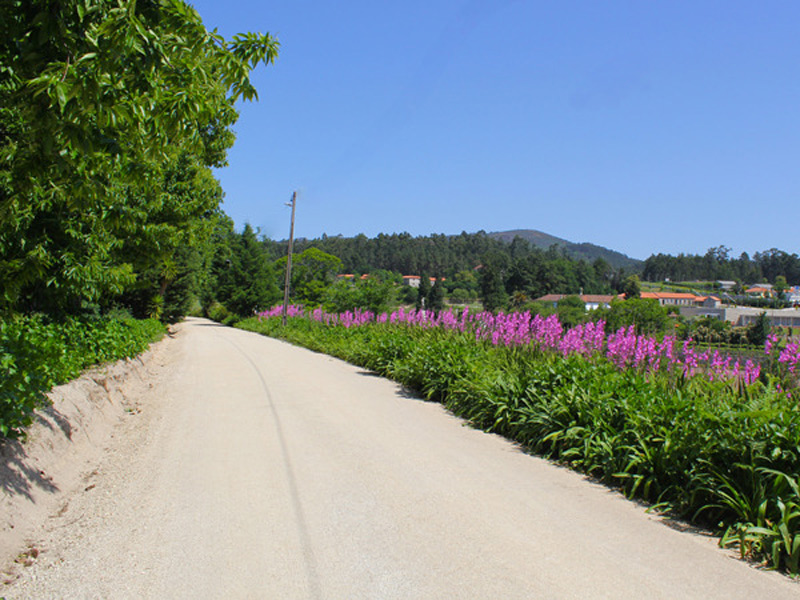 Lousada Country Hotel  galeria