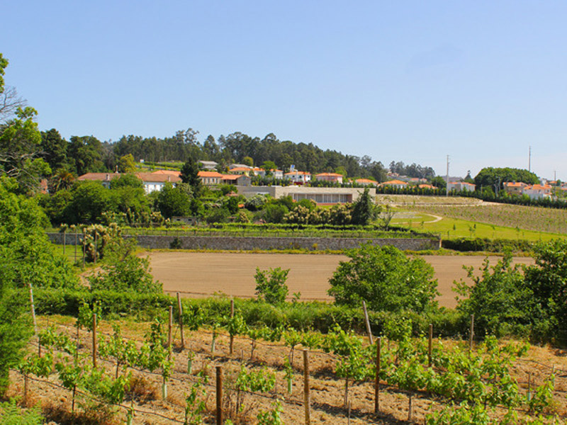 Lousada Country Hotel  galeria