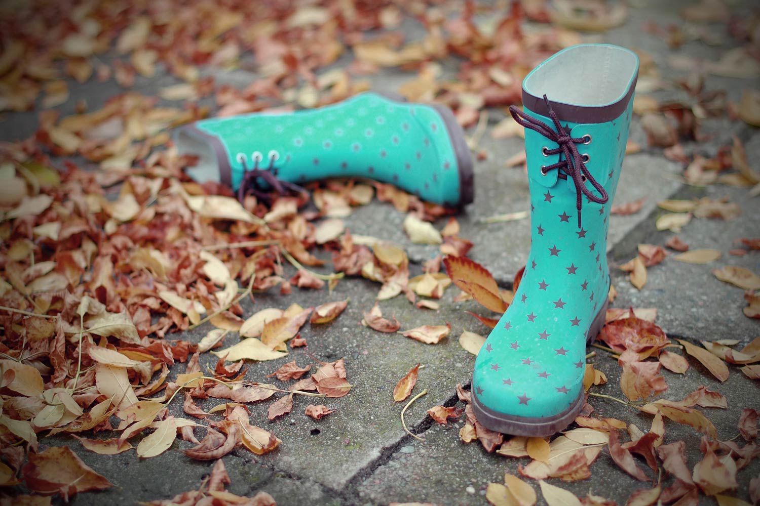 WINTER 21-22 Early Booking Discount