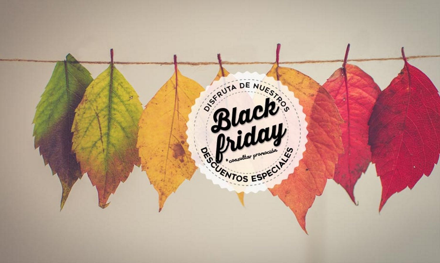 Black Friday