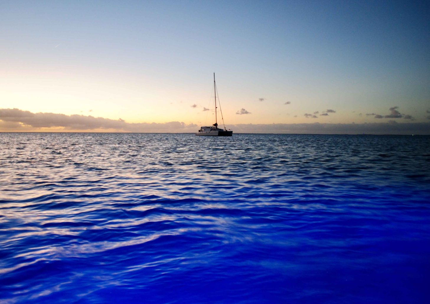 Catamarantochtje langs de riviermond