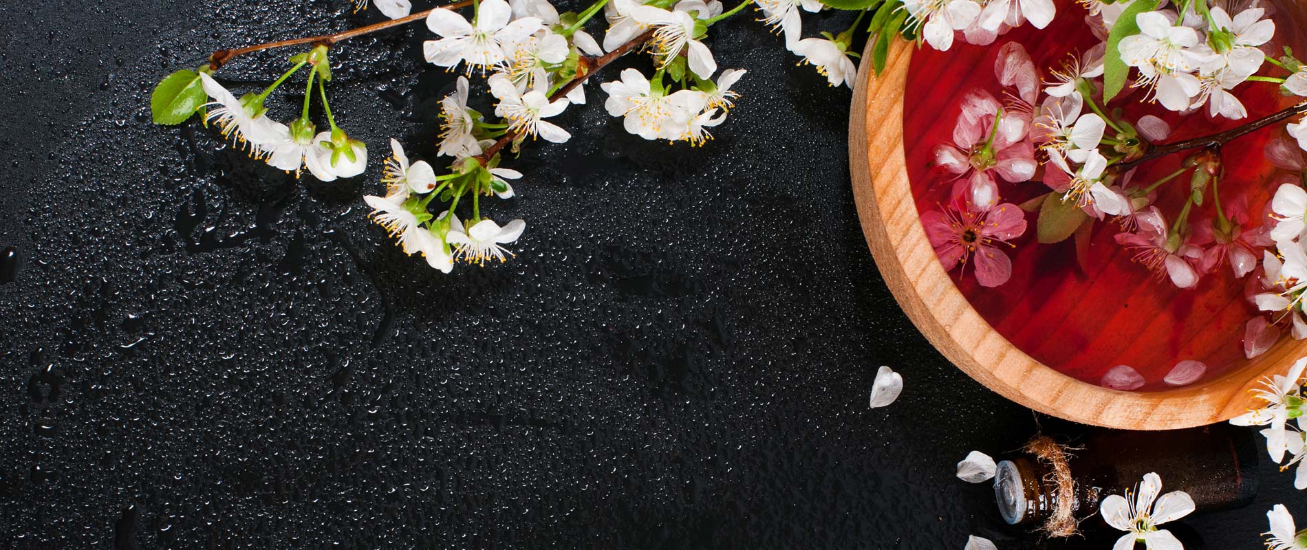 Eurostars Anglí - Wellness