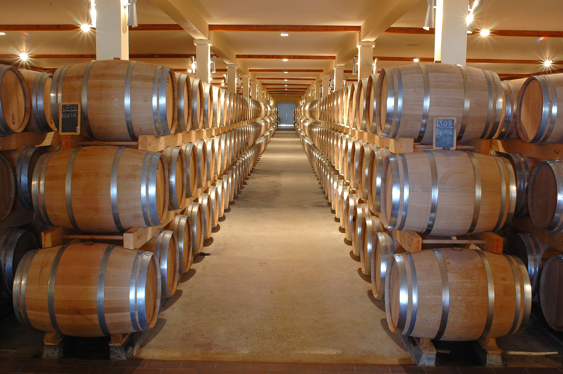 Visita a bodega con cata de vino