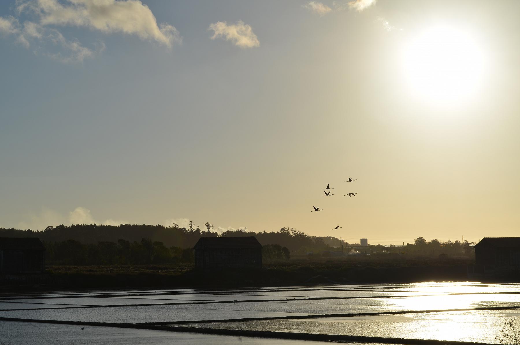 Promenade à travers les rizières et les terres salines