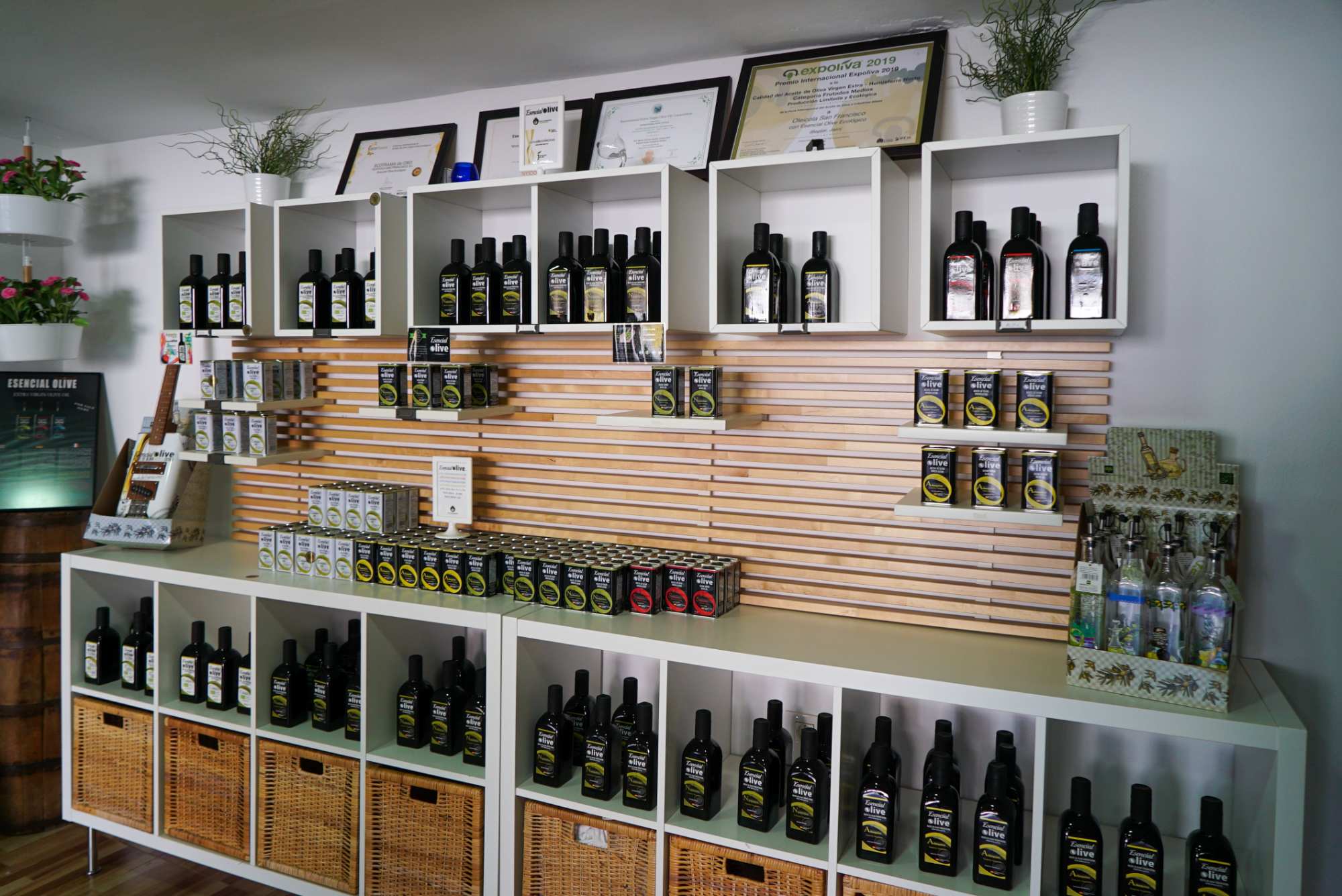Oleoturismo: disfruta de nuestro Menú del Aceite de Oliva